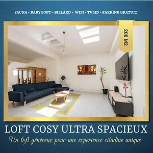  Appartement Loft Cosy - Hypercentre - Sauna - 200m2 - Wifi France
